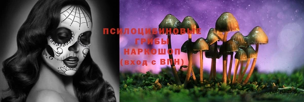 стафф Куйбышев