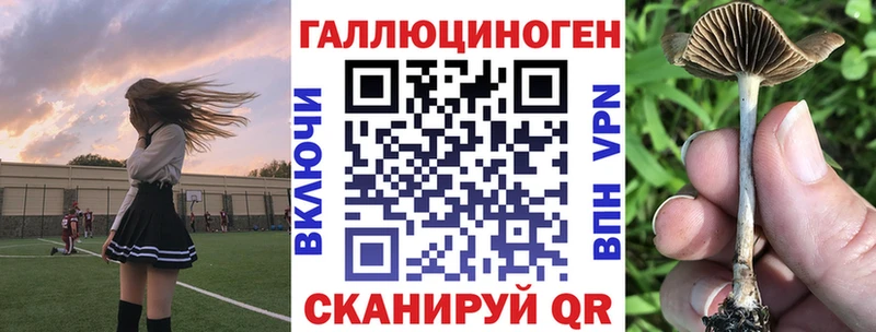 нарко площадка формула  Шимановск  Галлюциногенные грибы ЛСД 